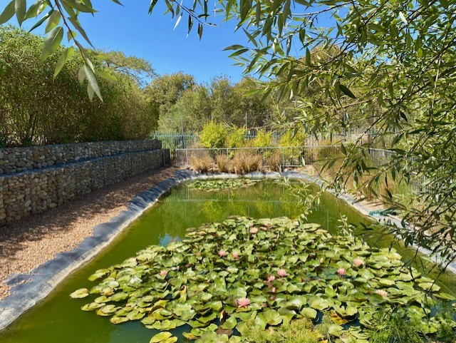 3 Bedroom Property for Sale in Gevonden Estate Western Cape